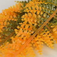 Closeup of orange plant in biOrb® Autumn Fern Plant Pack