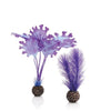 Small biOrb® Purple Kelp Aquarium Decoration