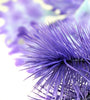 Detail view of small biOrb® Purple Kelp Aquarium Decoration