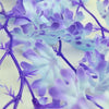 Detail view of medium biOrb® Purple Kelp Aquarium Decoration