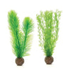 biOrb® Green Feather Fern Plant Pack