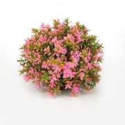 biOrb® Pink Topiary Ball Aquarium Decorations