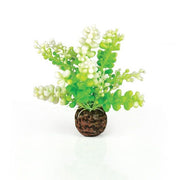 biOrb® Green Caulerpa Aquarium Decoration