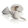 White biOrb® Sea Shells Aquatic Decoration, 3-Pack