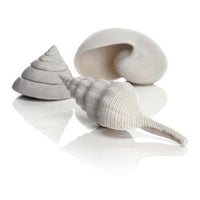 White biOrb® Sea Shells Aquatic Decoration, 3-Pack