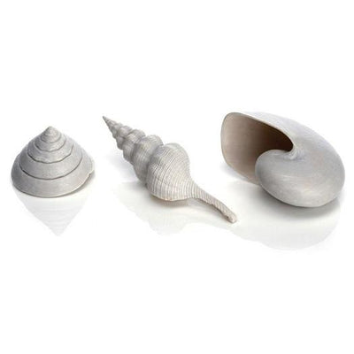 biOrb® Sea Shells Aquatic Decoration, 3-Pack
