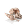 Natural biOrb® Sea Shells Aquatic Decoration, 3-Pack