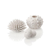 biOrb® White Aquatic Sea Urchin 3-Pack Aquarium Decoration