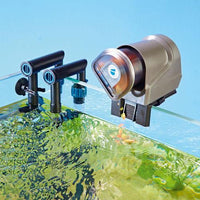 Oase FishGuard Automatic Feeder can be mounted on aquarium