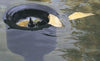 Oase AquaSkim 40 In-Pond Skimmer in action