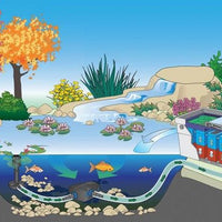 Oase AquaMax Eco Premium Pond Pumps installed with skimmer