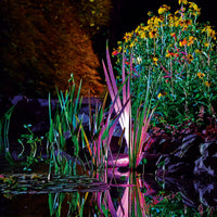 Oase ProfiLux Garden LED RGB Spotlight illuminating plants in the pond