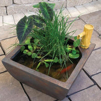 Using Aquascape® Aquatic Patio Pond Fountain Kit with fish and plants