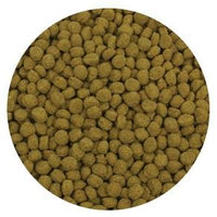 Closeup of Aquascape® Premium Color Enhancing Fish Food Pellets