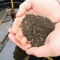Scooping up a handful of Aquascape® Pond Plant Potting Media