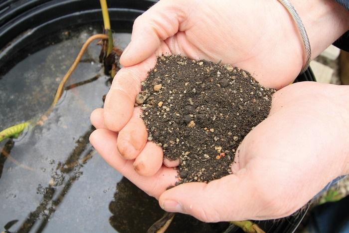 pond plant potting media Aquascape® Pond Plant Potting Media