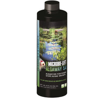 Microbe-Lift® Algaway 5.4 Algaecide, 32oz Bottle