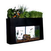 AquaSprouts Aquaponics Garden Kit