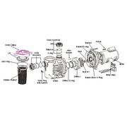 Exploded view of PerformancePro Artesian2 Pump with Parts