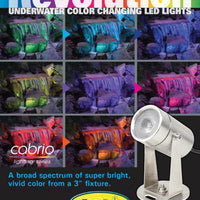 Color options on EasyPro Cabrio Stainless Steel Color-Changing LED Spotlight