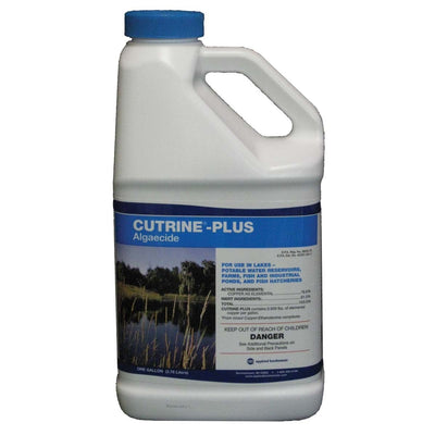 Cutrine Plus Liquid Algaecide, Gallon