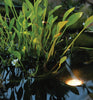 Pond Boss® Landscape and Fountain Light in a pond
