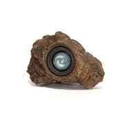 Anjon Manufacturing Ignite LED Rock Light