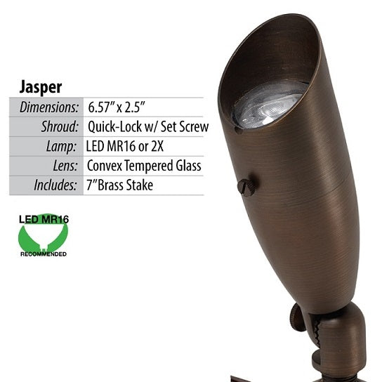 Illumicare Jasper Brass LED Directional Light