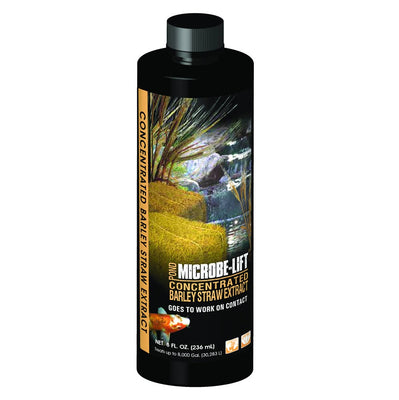 Microbe-Lift® Concentrated Barley Straw Extract, 8 Ounces