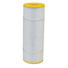 Replacement Cartridge for EasyPro Cartridge Filter