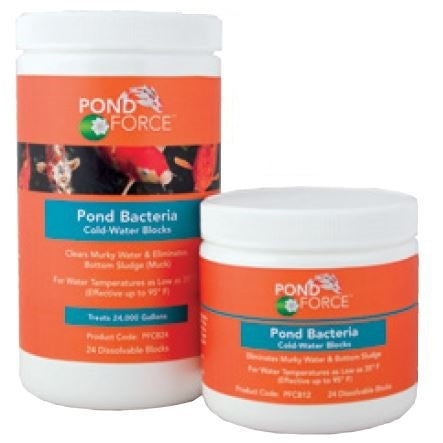 Pond Force™ Pond Bacteria Cold Water Blocks