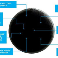 Features of Evolution Aqua Pure Pond Bomb Clarity Boost