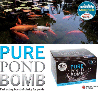 Evolution Aqua Pure Pond Bomb Clarity Boost