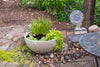 Desert Granite Aquascape Patio Pond with aquatic plants growing out of it