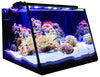 Lifegard Aquatics Full-View Aquariums with Back Filters