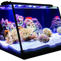 Lifegard Aquatics Full-View Aquariums with Back Filters