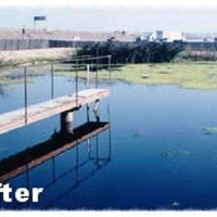 Lake after using Diversified Waterscapes F-30 Algae Control