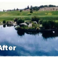 Lake after using Diversified Waterscapes F-20 Enviro Clear Clarifier Flocculant