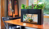 AquaSprouts Aquaponics Garden Kit perched on kitchen table