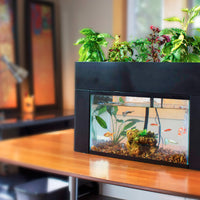 AquaSprouts Aquaponics Garden Kit perched on kitchen table